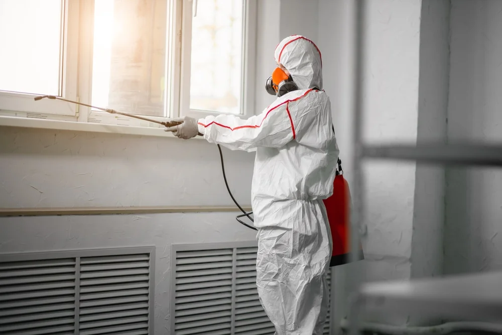 Professional mold remediation services in Runnemede, NJ